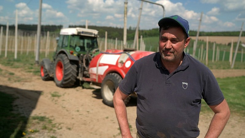 Landwirt Karl Pichlmeyer sorgt sich um seinen Hopfen. | Bild: BR Landwirt Karl Pichlmeyer sorgt sich um seinen Hopfen.