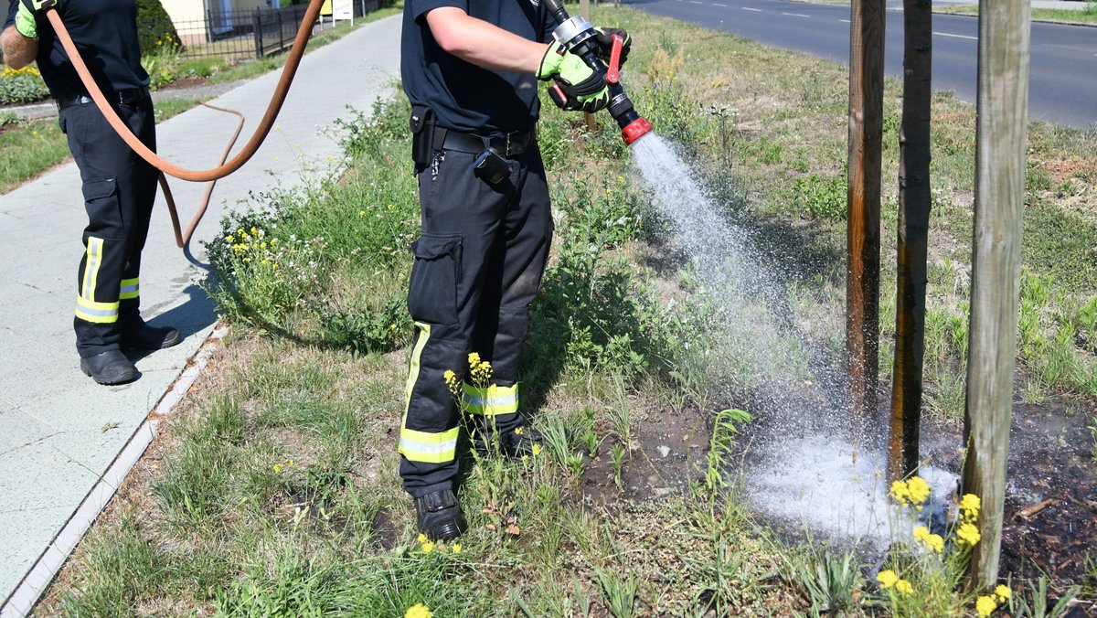 Die Feuerwehr bewässert Jungbäume im Stadtgebiet (Symbolbild).