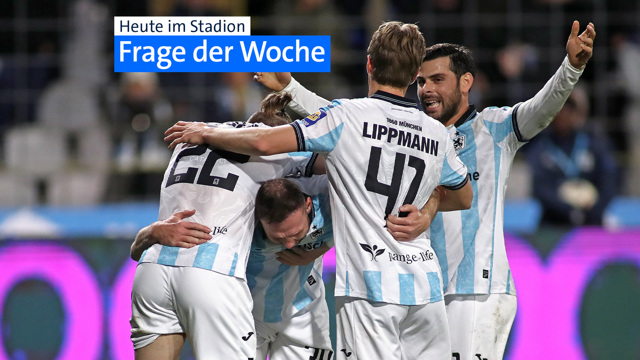 Frage der Woche: Wohin führt der Weg der Münchner Löwen?