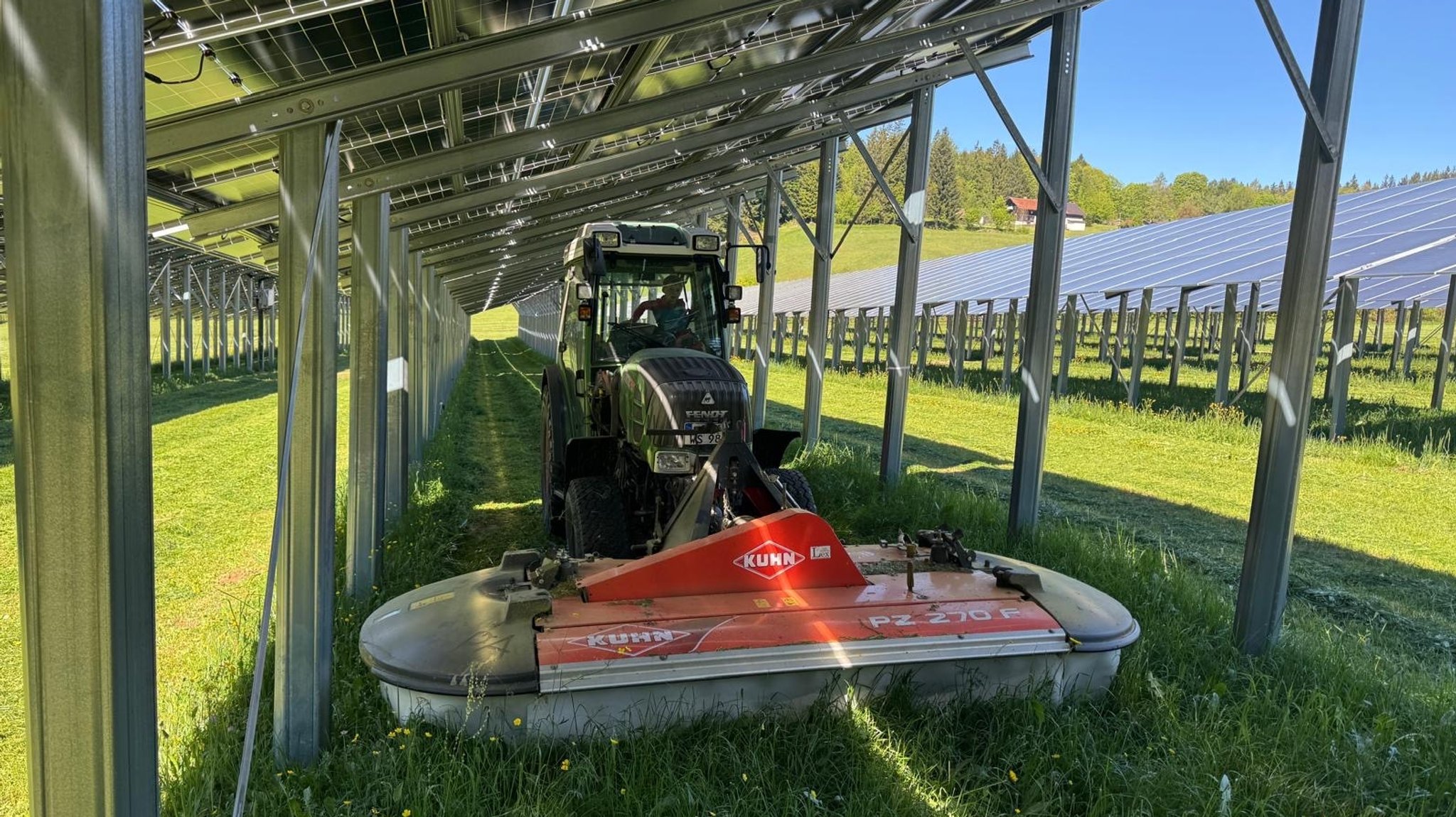 Kleiner Traktor mäht Gras unter hohen PV-Modulen | Bild: Sebastian Baumgartner Kleiner Traktor mäht Gras unter hohen PV-Modulen