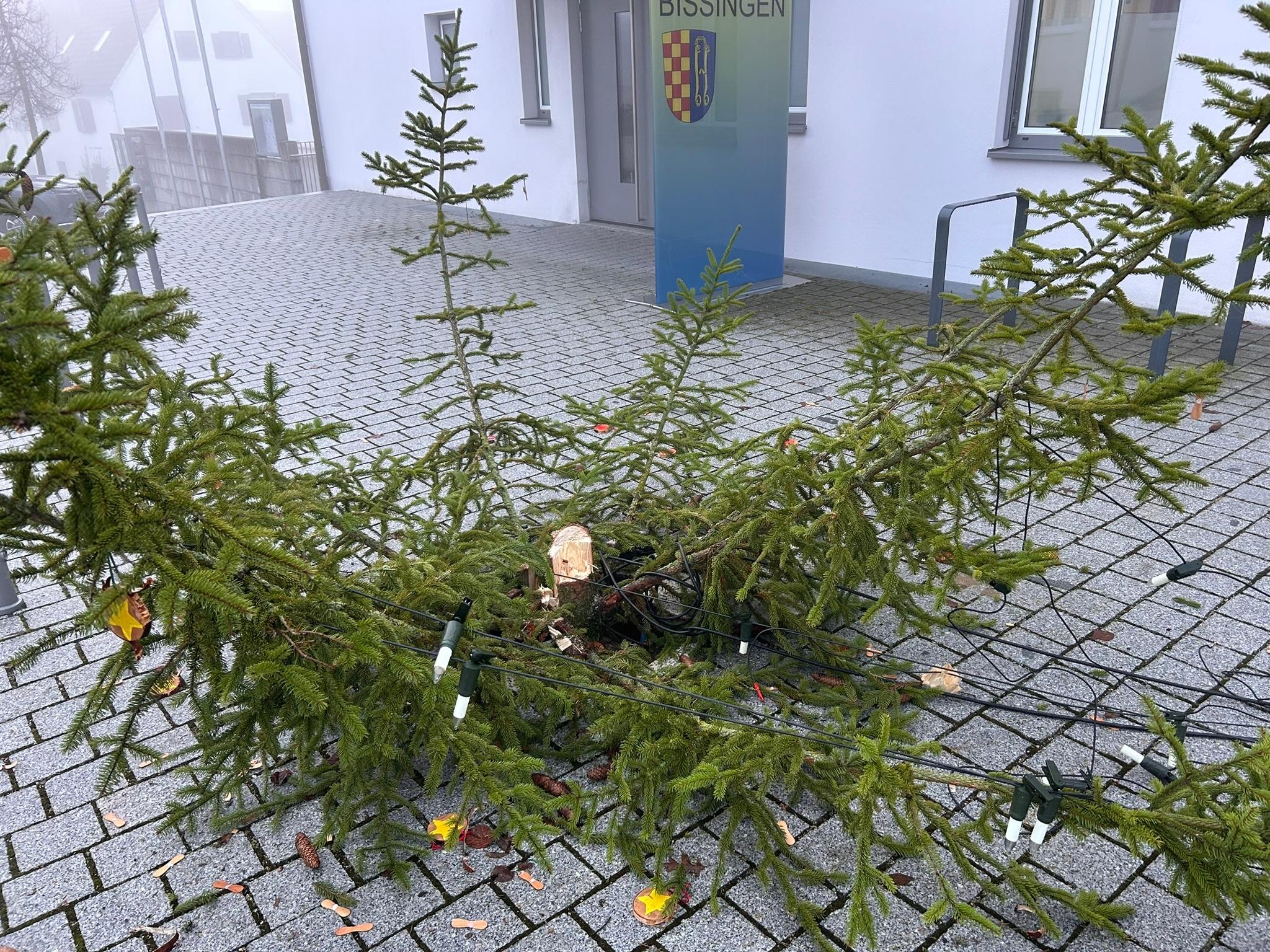 Der Christbaum vor dem Bissinger Rathaus wurde von Unbekannten abgesägt.