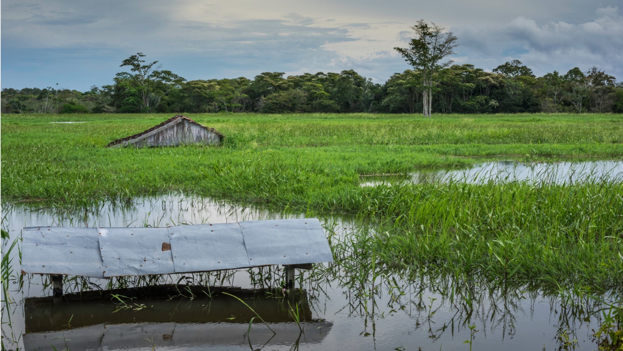 Überschwemmte Felder und Hütten am Solimoes Fluss - Amazonas. El Niño und La Niña bringen das Wetter entlang des tropischen Pazifiks durcheinander. Weil sich Luft- und Meeresströmungen ändern, kommt es weltweit zu Extremwetterlagen. 