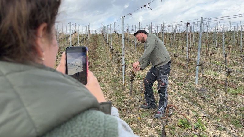 Katharina Albrecht und ihr Bruder Valentin Reinhard vom Weingut "Vale&Kätt" im Weinberg bei Frickenhausen. | Bild: Carolin Hasenauer / BR Katharina Albrecht und ihr Bruder Valentin Reinhard vom Weingut "Vale&Kätt" im Weinberg bei Frickenhausen.