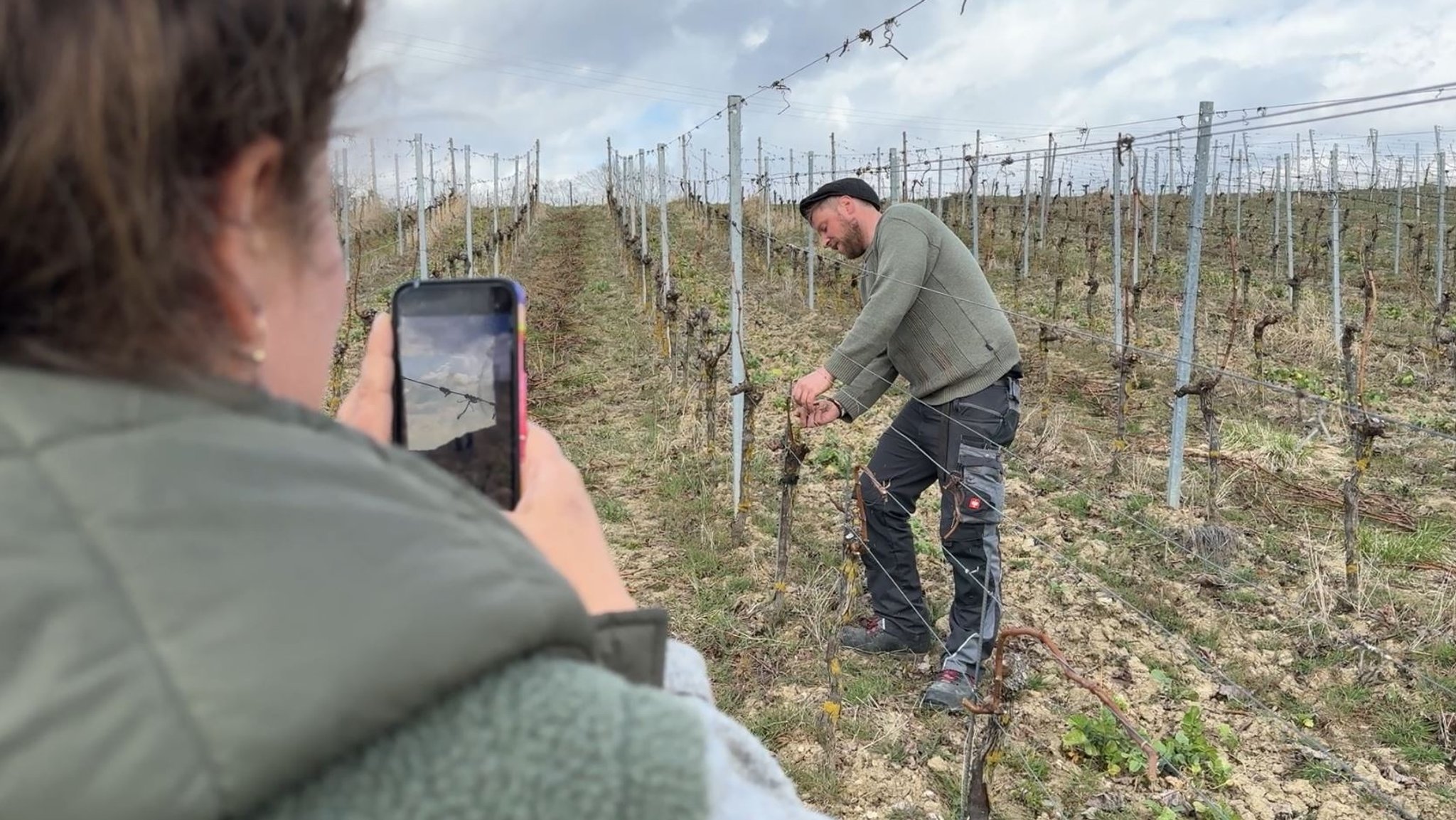 Katharina Albrecht und ihr Bruder Valentin Reinhard vom Weingut "Vale&Kätt" im Weinberg bei Frickenhausen.