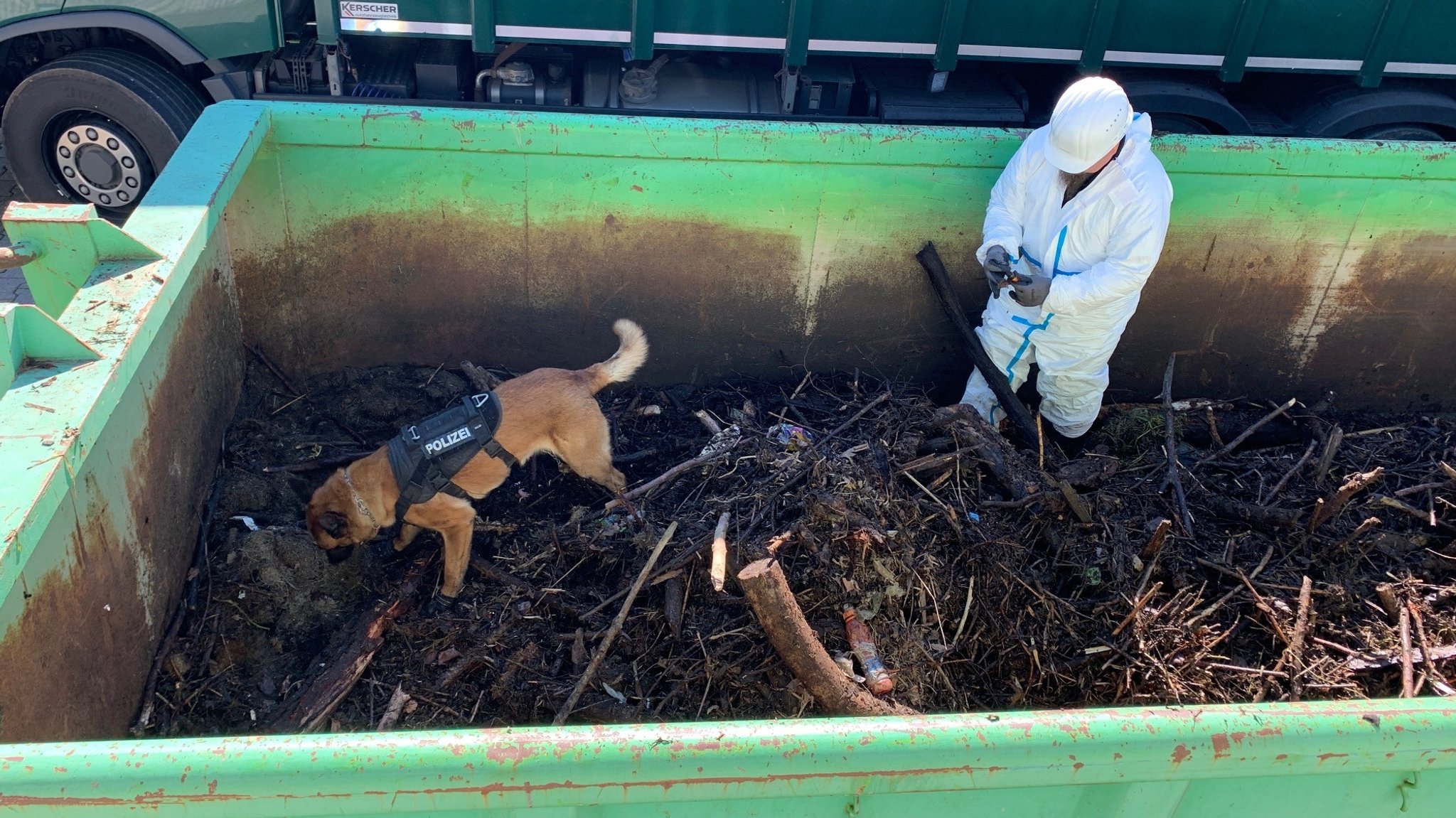 Ein Spürhund durchsucht von der Donau angeschwemmtes Material.