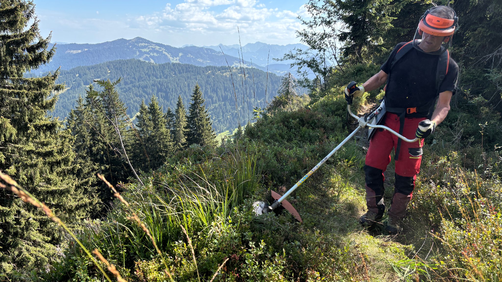 Hüttenwirt Edwin Mennel schneidet Büsche und junge Bäume um Wiesen vor dem Verbuschen zu bewahren. Er hat die Schwendaktion nahe der Burgl-Hütte in Vorarlberg an der Grenze zum Allgäu organisiert. | Bild: BR/Juliane van Scherpenberg Hüttenwirt Edwin Mennel schneidet Büsche und junge Bäume um Wiesen vor dem Verbuschen zu bewahren. Er hat die Schwendaktion nahe der Burgl-Hütte in Vorarlberg an der Grenze zum Allgäu organisiert.
