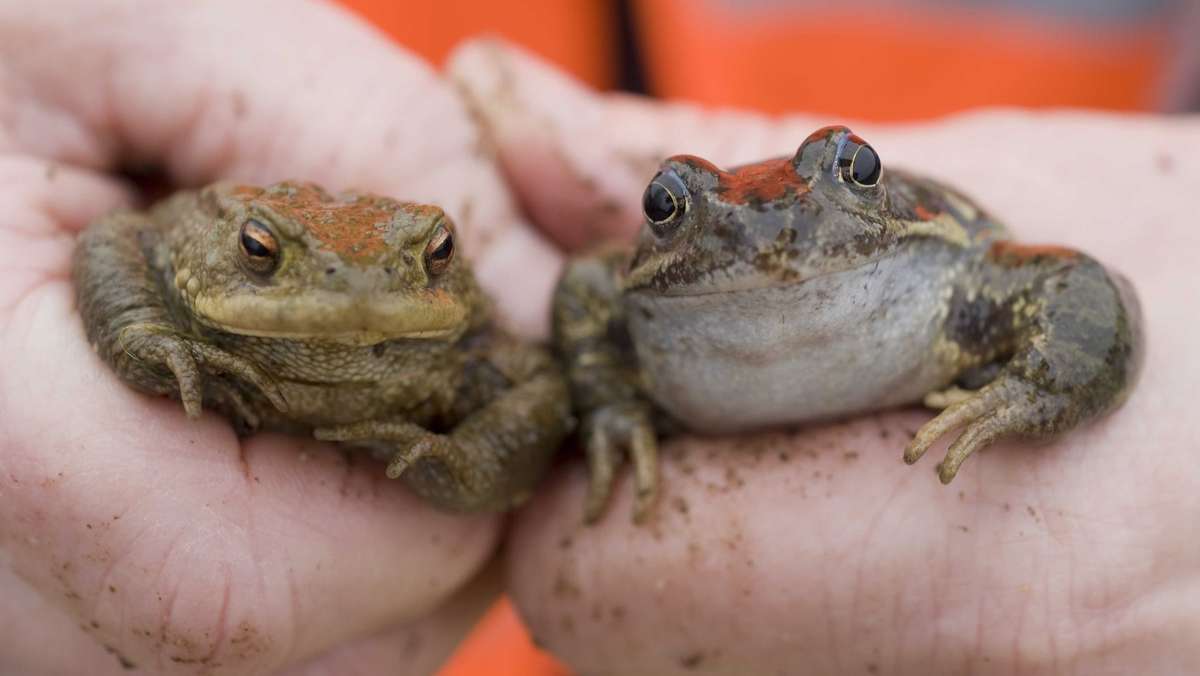 Https Img Br De B8b89b3d 0a53 4670 A74b 961f58f09cb4 Jpeg Q 60 Rect 3 2c247 2c2397 2c1350 W 1200