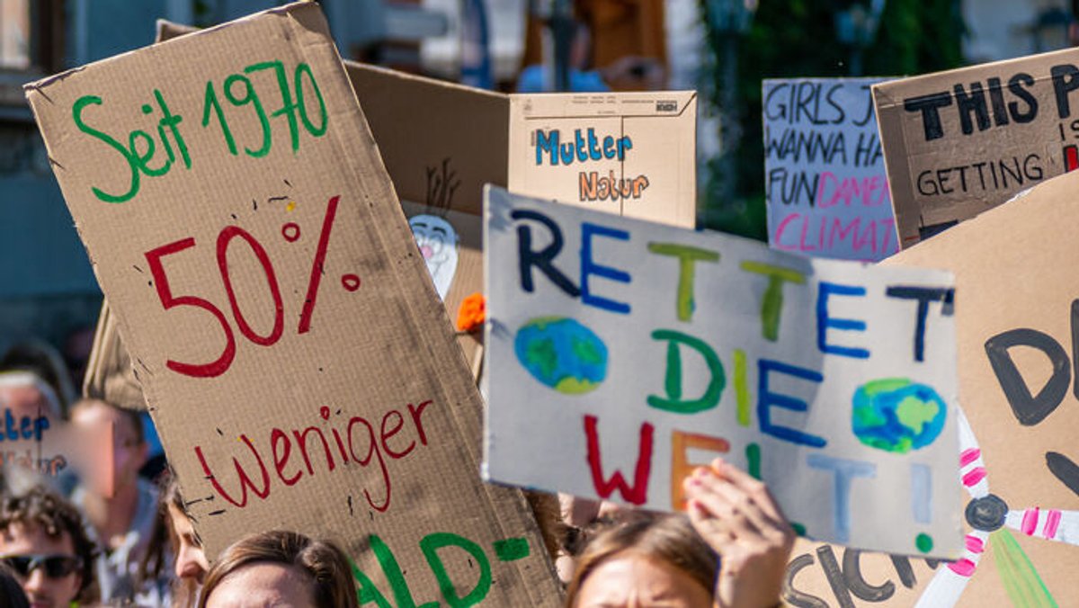 Aufnahme von Plakaten, die von Demonstranten zum Umweltschutz hochgehalten werden. Zu lesen ist etwa "Rettet die Welt".