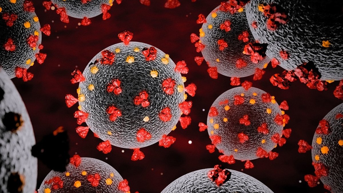 Die dreidimensionale Darstellung von kugelförmigen Viren mit roten und gelben Fortsätzen auf der kreisrunden Oberfläche.