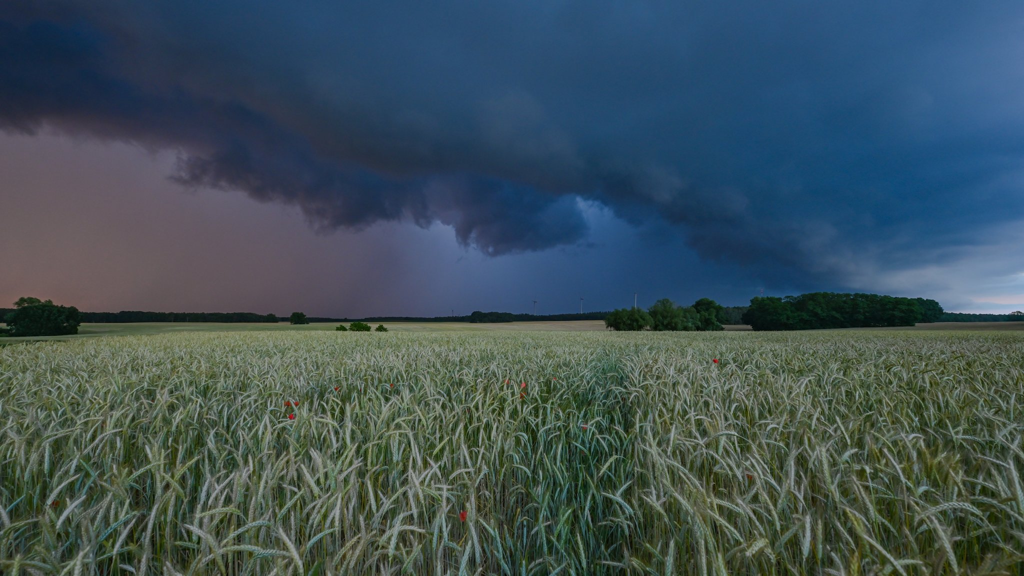 Am späten Abend zieht eine Gewitterzelle mit dunklen Regenwolken über die Landschaft.