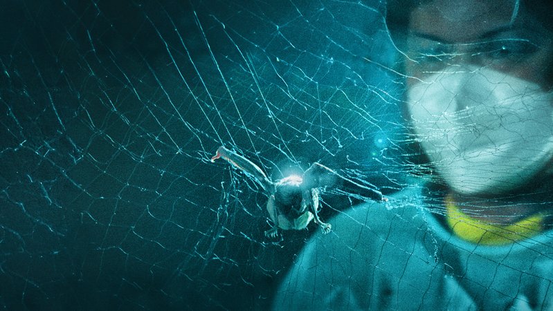 Fledermaus in einem Netz verfangen, im Hintergrund Forscher mit Maske | Bild: BR/ BROADVIEW PICTURES Fledermaus in einem Netz verfangen, im Hintergrund Forscher mit Maske