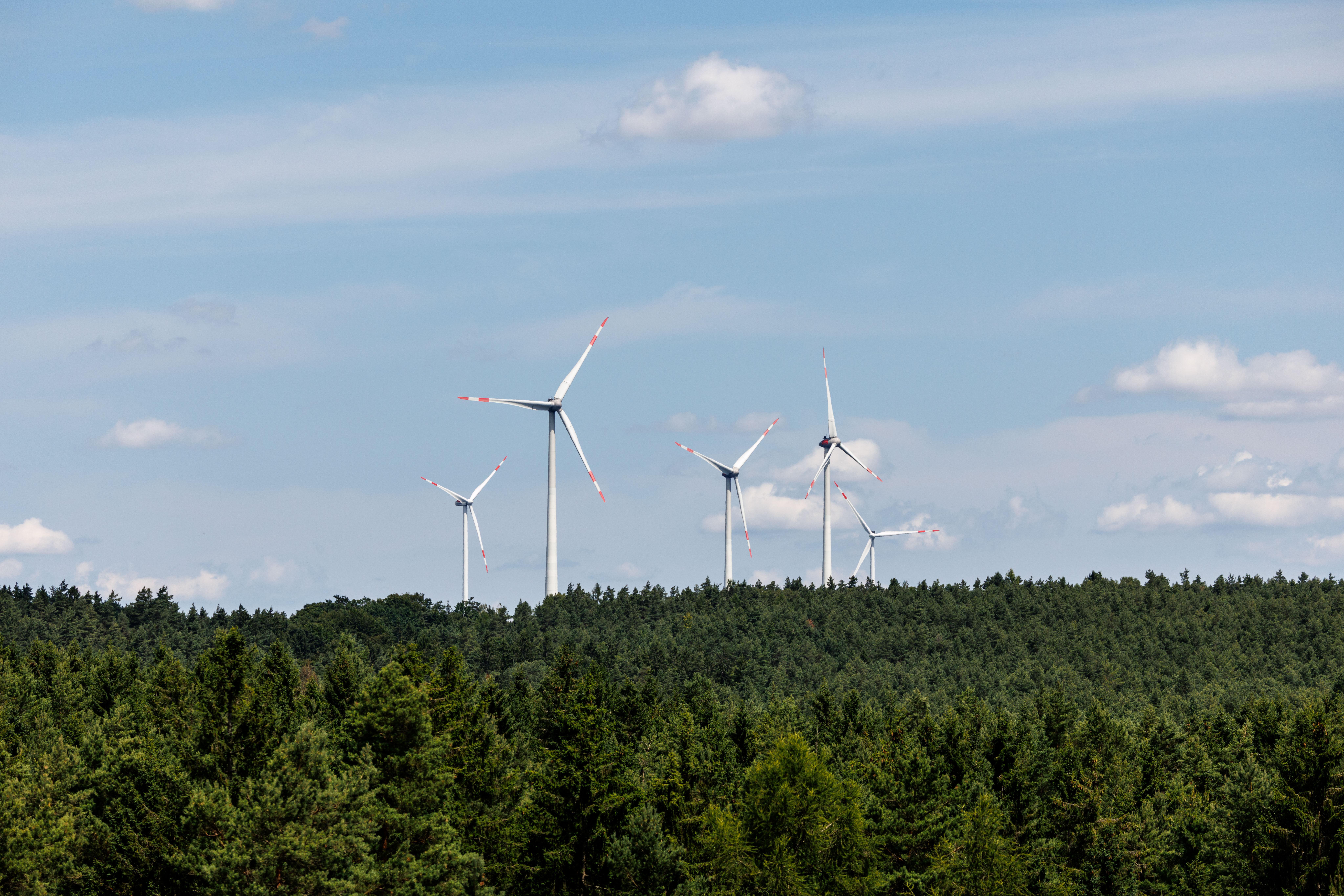 Windräder im Wald