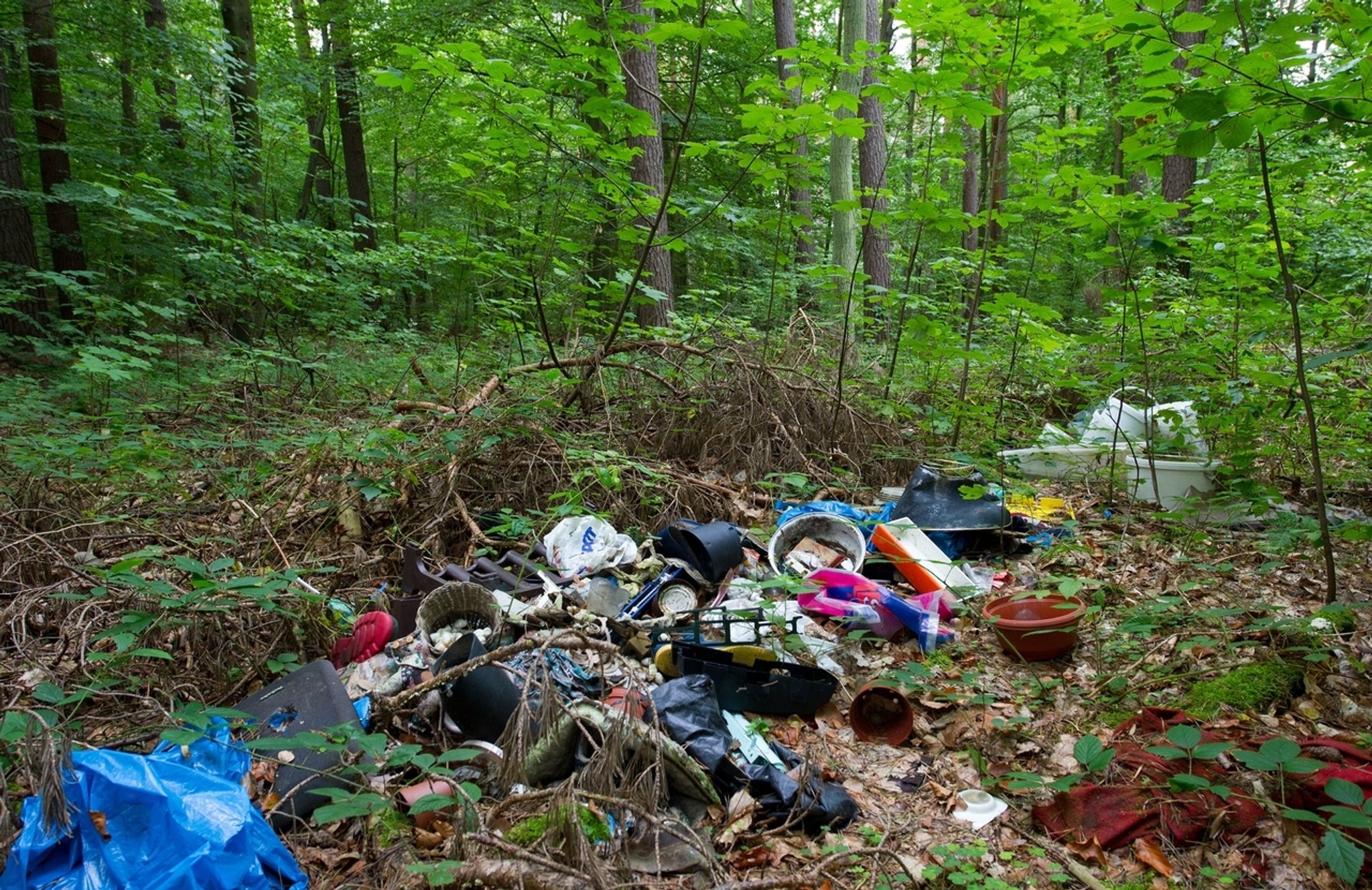 Illegale Müllentsorgung im Amper-Naturschutzgebiet