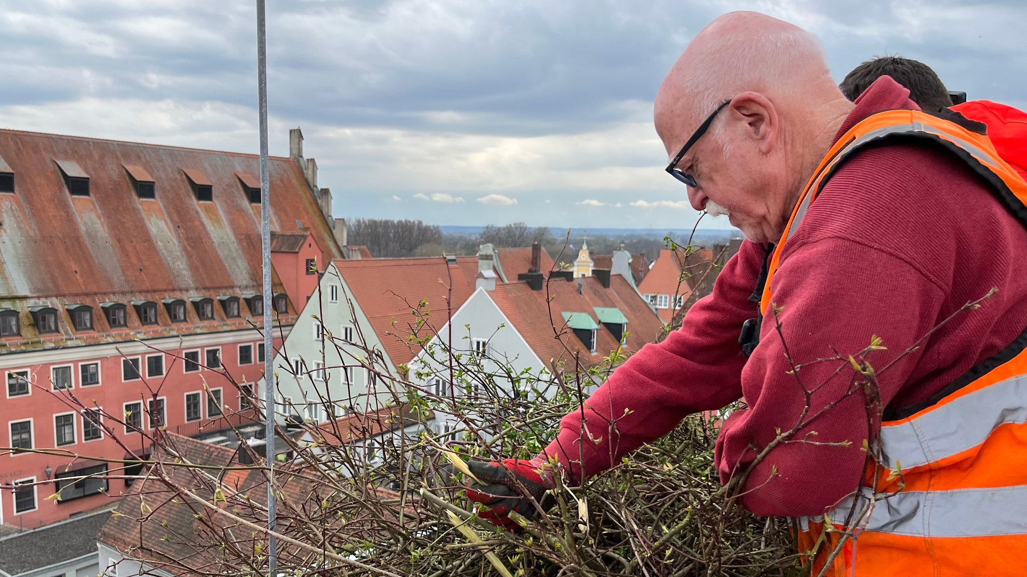 Storchen-Kümmerer Anton Burnhauser befestigt Gestrüpp als Nisthilfe auf dem alten Kamin eines Klosters.