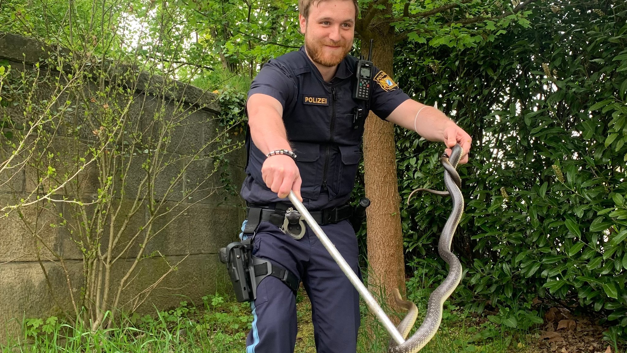 Ein Polizist aus Passau mit einer Äskulapnatter