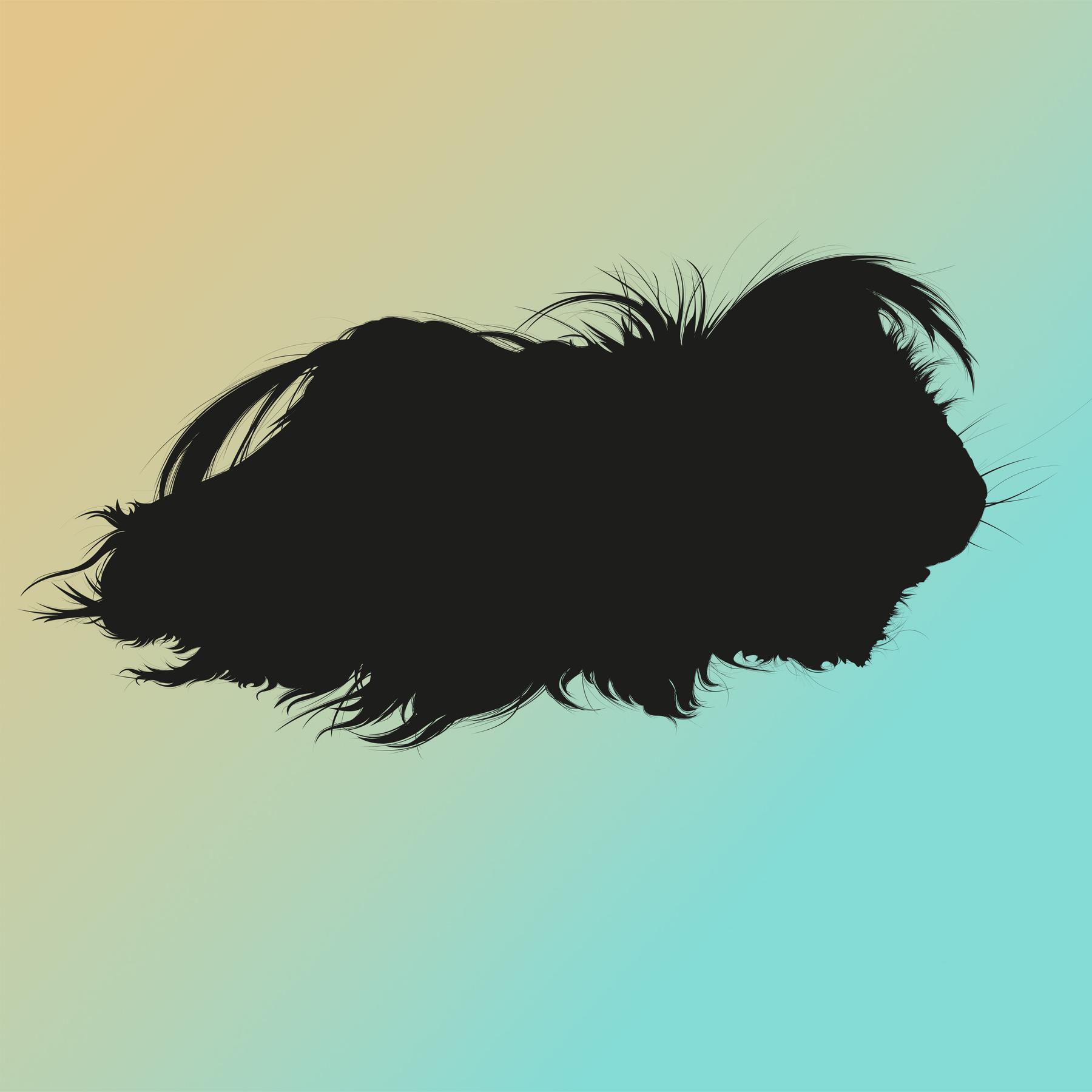 Nora Gomringer: Am Meerschwein übt das Kind den Tod