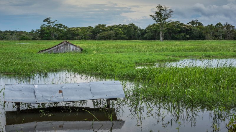 Überschwemmte Felder und Hütten am Solimoes Fluss - Amazonas. El Niño und La Niña bringen das Wetter entlang des tropischen Pazifiks durcheinander. Weil sich Luft- und Meeresströmungen ändern, kommt es weltweit zu Extremwetterlagen. 