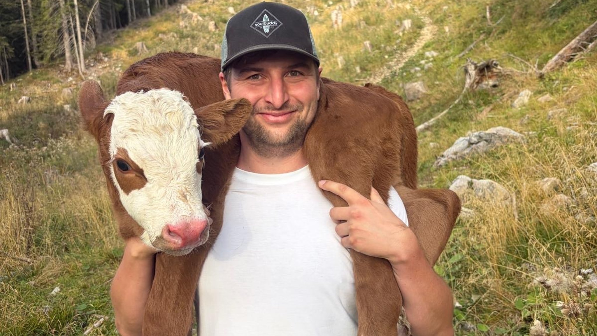 Zu früh geboren: Landwirt trägt Kalb auf den Schultern ins Tal