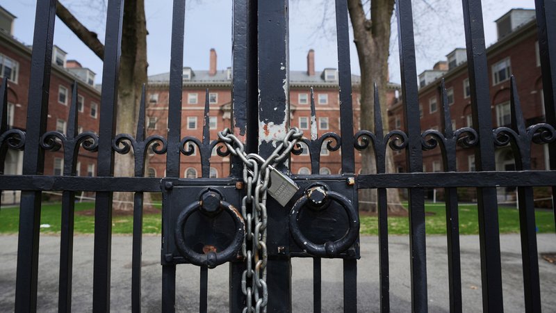 Mit Ketten verschlossenes Tor der Harvard University | Bild: picture alliance / ASSOCIATED PRESS | Charles Krupa Mit Ketten verschlossenes Tor der Harvard University