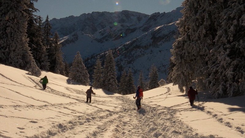 Die Kursteilnehmer suchen ein Schneefeld mit LVS-Geräten ab. | Bild: BR/ Lui Knoll Die Kursteilnehmer suchen ein Schneefeld mit LVS-Geräten ab.