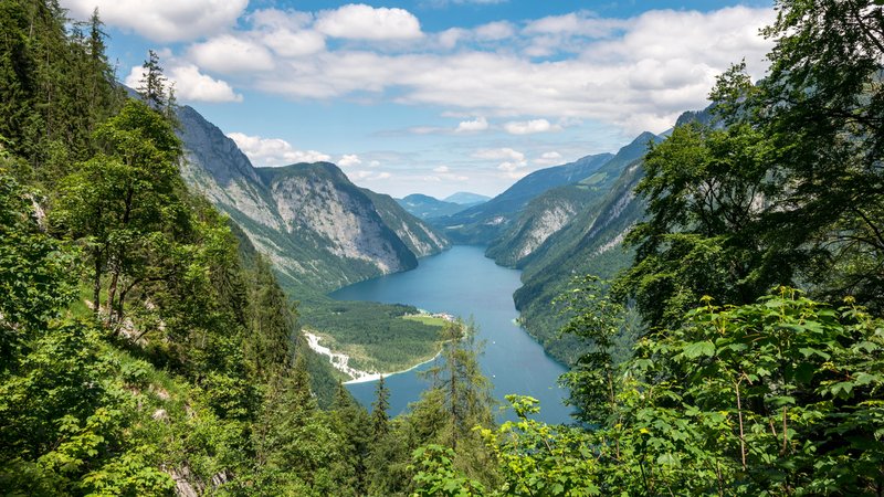 Ausblick über den Königssee vom Sagerecksteig aus | Bild: picture alliance / imageBROKER | Mara Brandl Ausblick über den Königssee vom Sagerecksteig aus