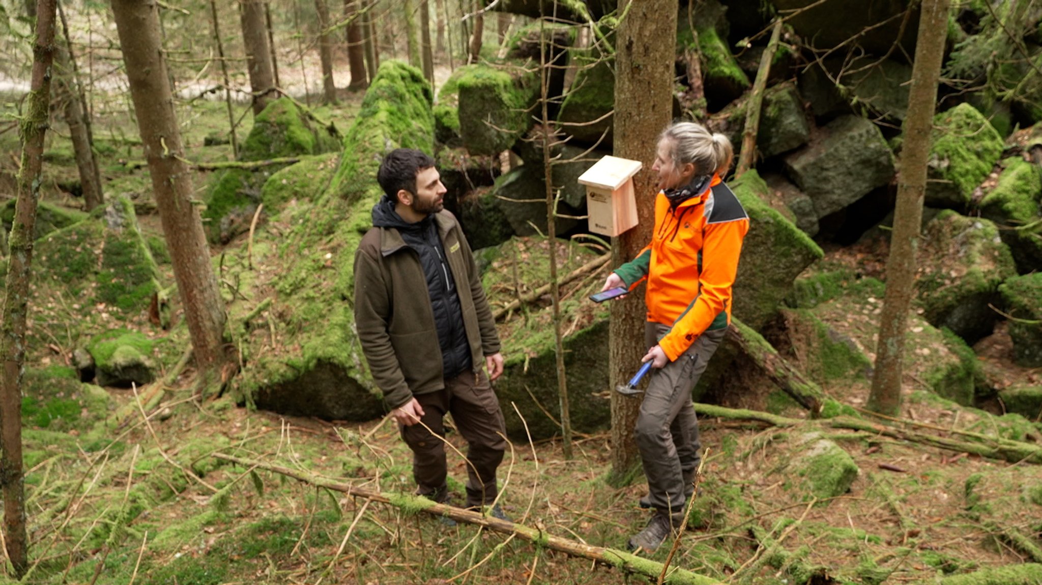 Zwei Menschen im Wald, an einem Stamm hängt ein Nistkasten.