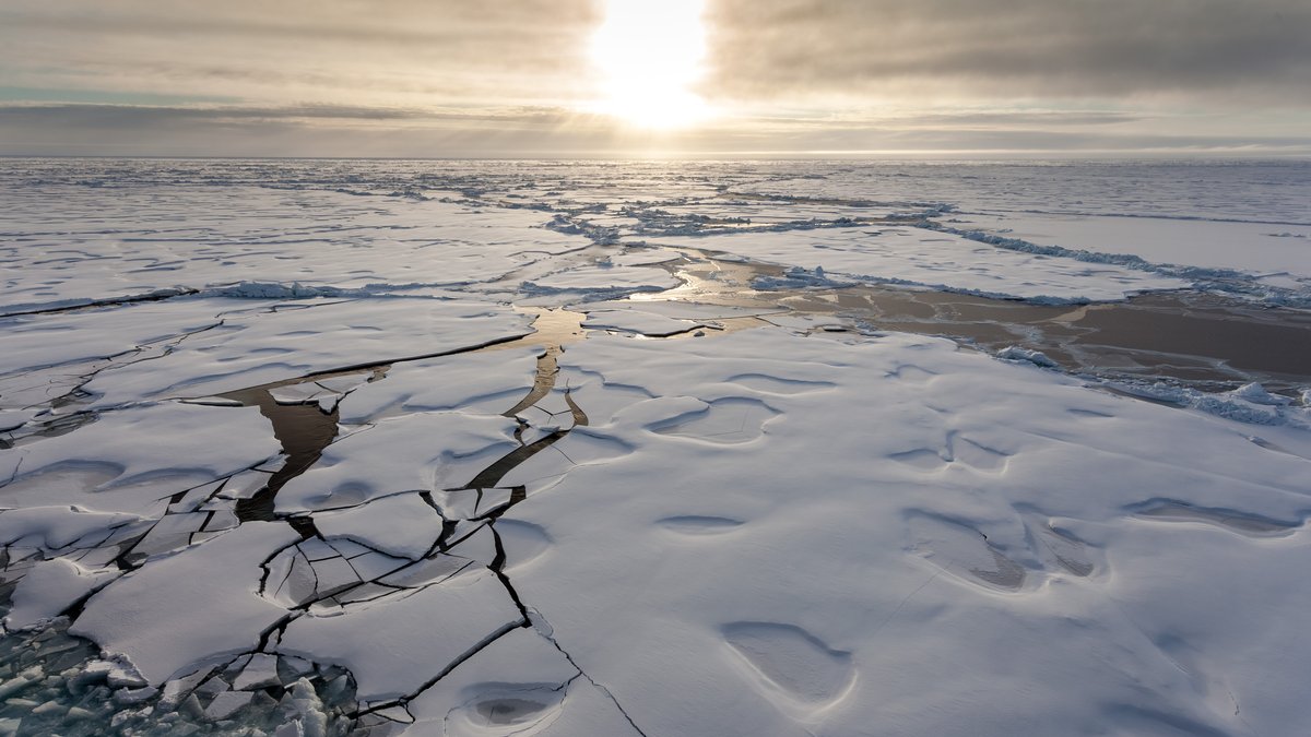 Eisschollen in der Arktis bei Sonnenaufgang