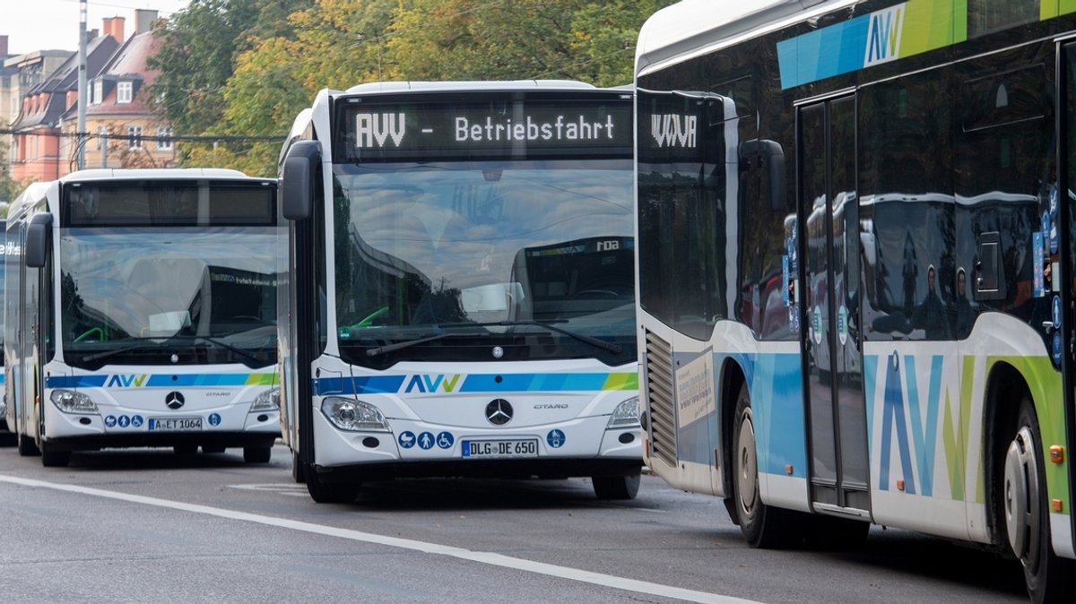 Mehrere AVV-Busse in Augsburg mit der Aufschrift "Betriebsfahrt"