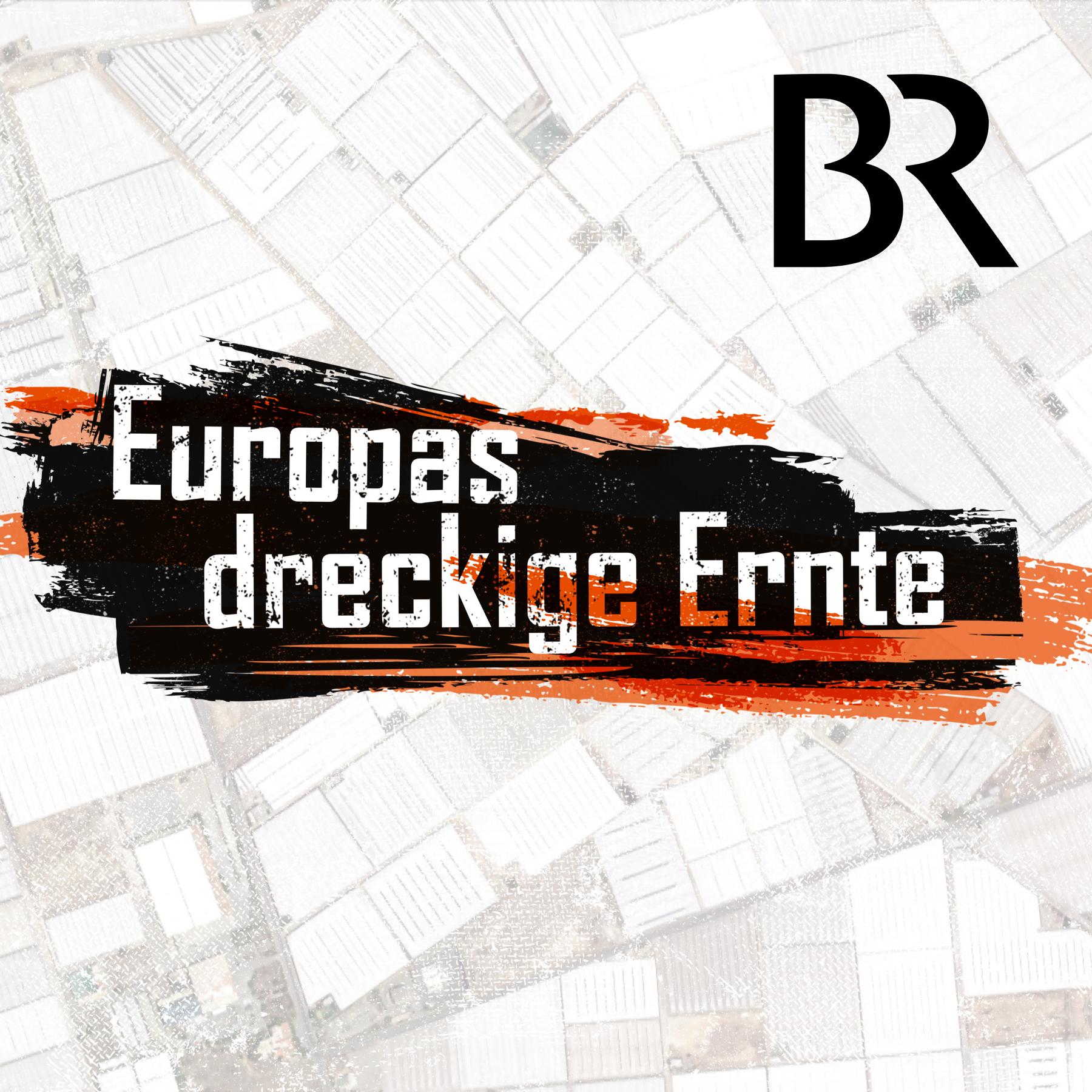 Europas dreckige Ernte - #4 EU-Millionen für Ausbeuter