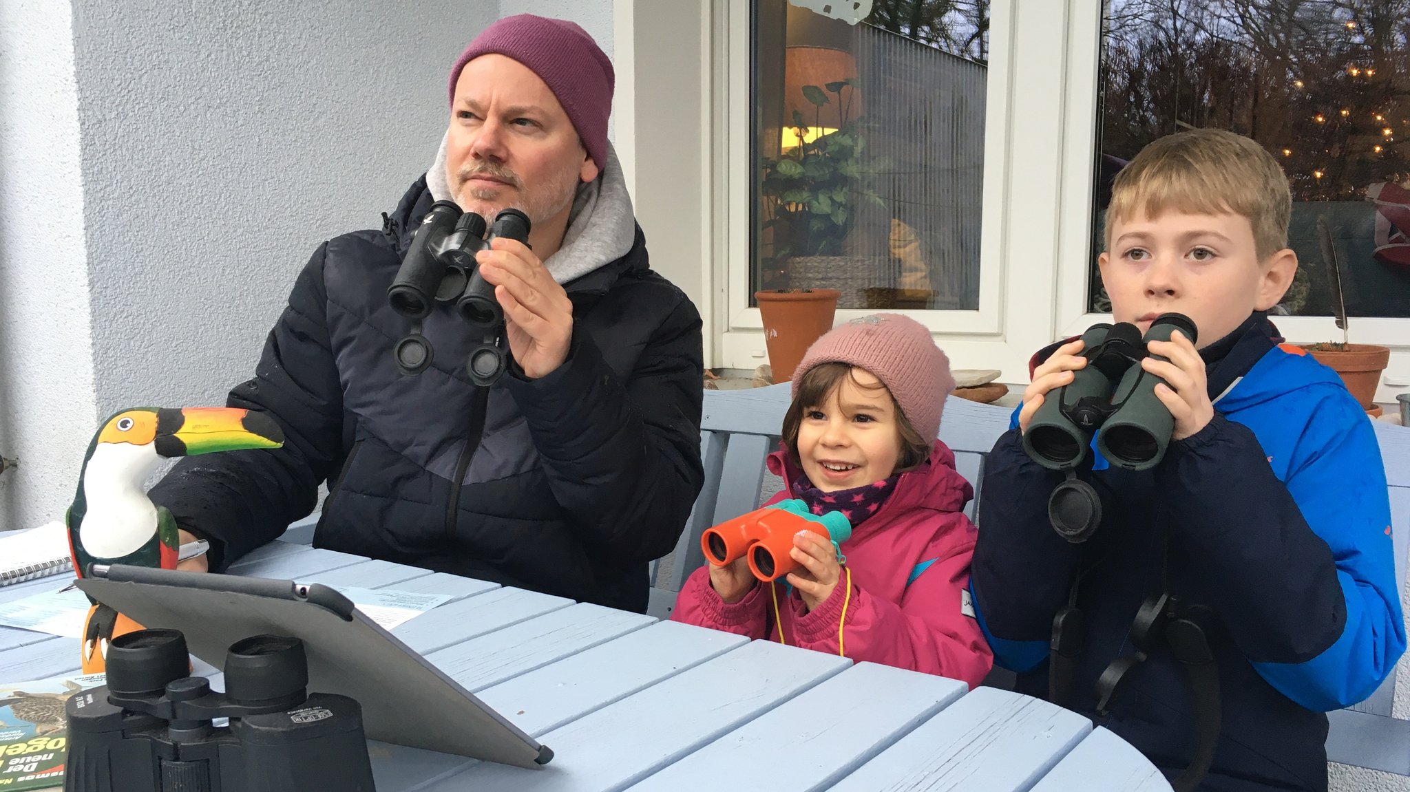 Amsel, Kleiber, Specht und Spatz: Vogelzählen in Nürnberg