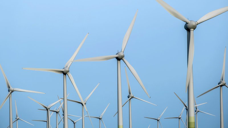 (Symbolbild) Deutschland hat 2024 seine eigenen Klimaziele erreicht | Bild: picture alliance / Rupert Oberhäuser | Rupert Oberhäuser (Symbolbild) Deutschland hat 2024 seine eigenen Klimaziele erreicht