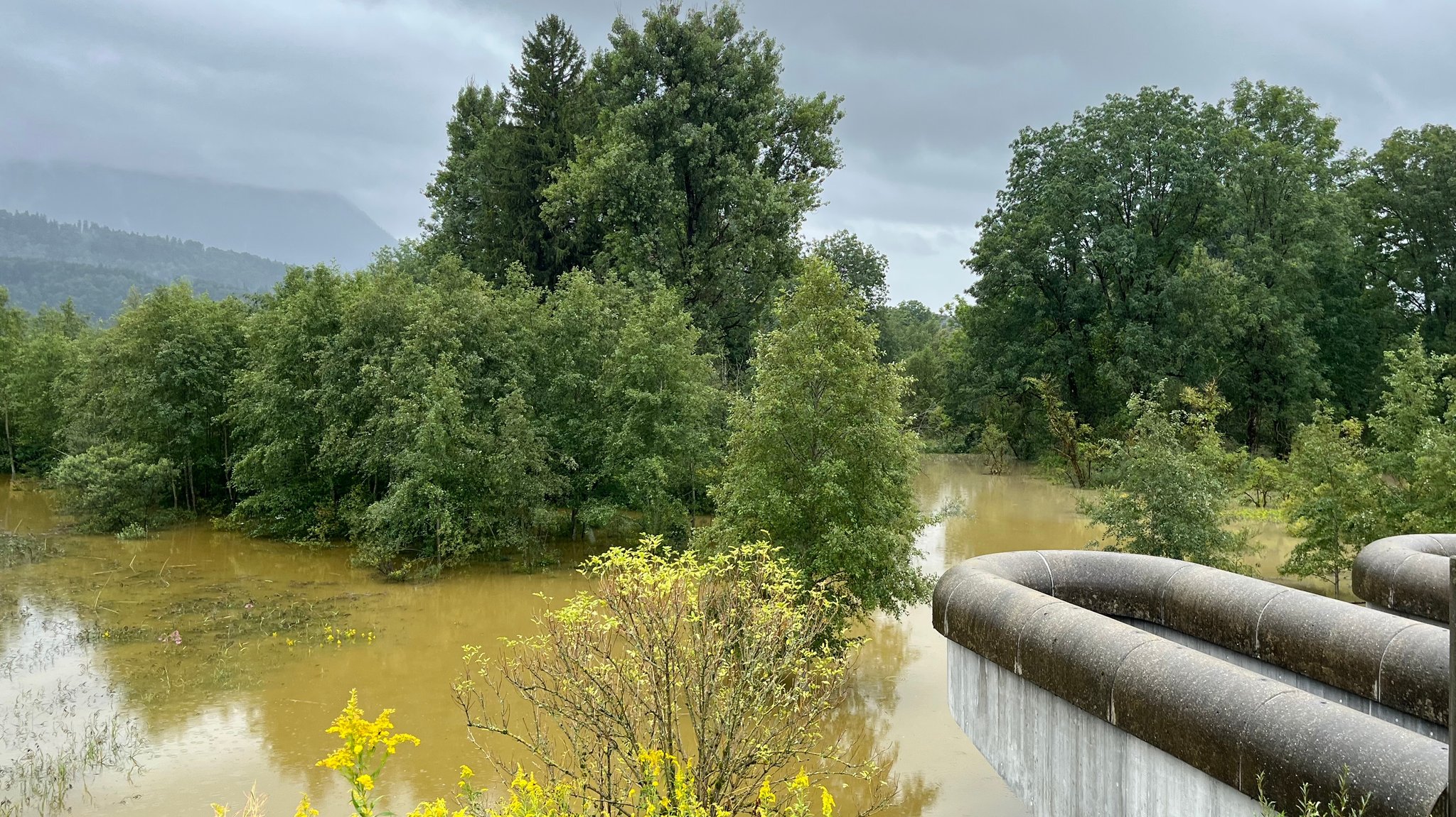 Gut gegen Hochwasser und gut für die Natur: Flutpolder im Allgäu