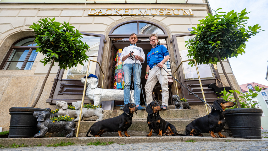 Seppi Küblbeck (l) und Oliver Storz stehen mit ihren Dackeln vor ihrem Dackelmuseum in Passau