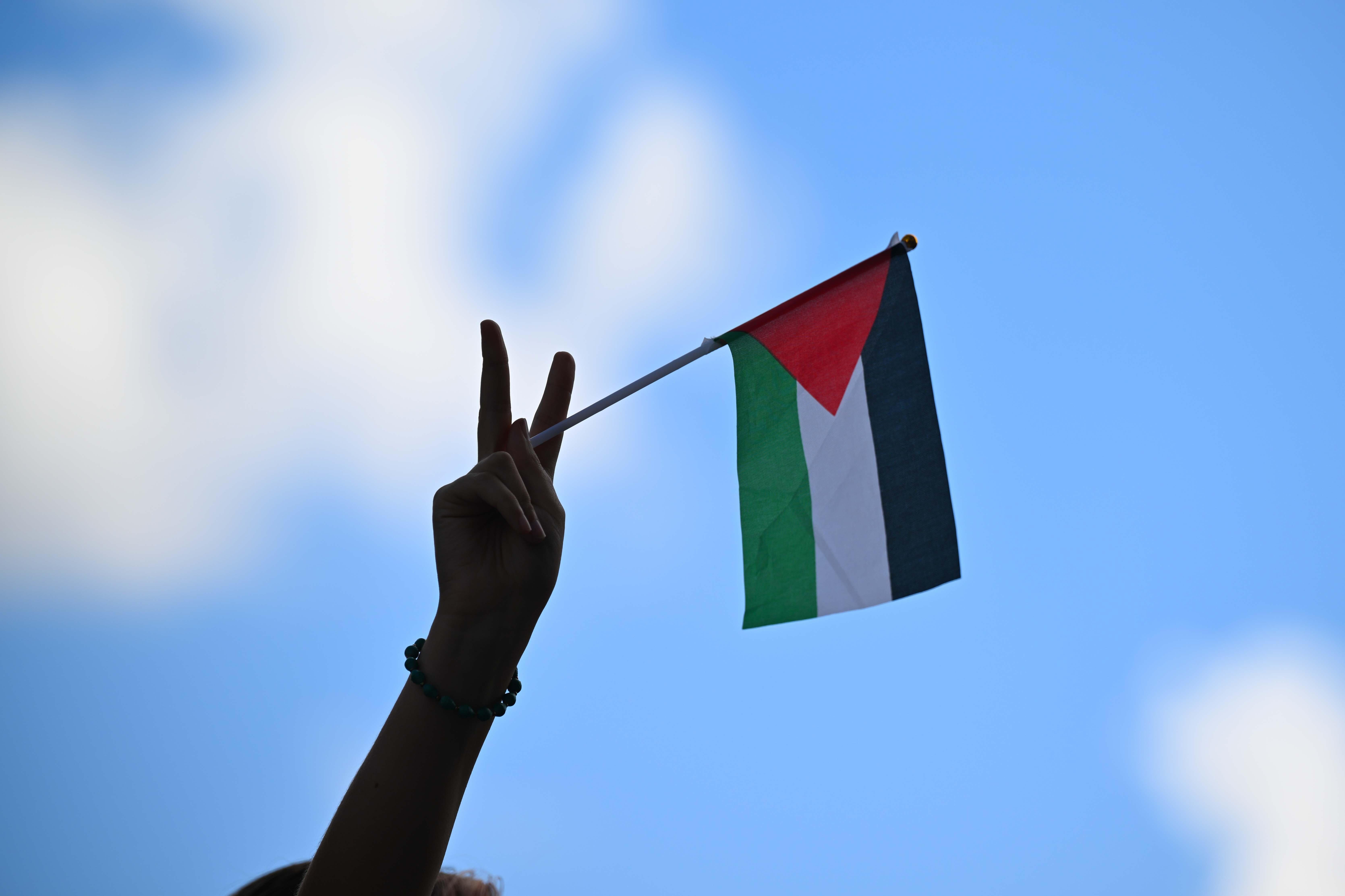 Demonstrant bei Pro-Palästina-Demo in London