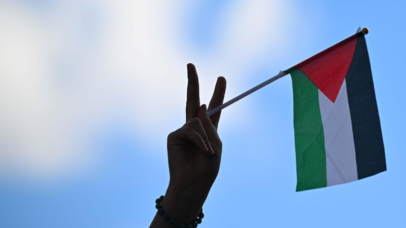 Demonstrant bei Pro-Palästina-Demo in London | Bild: picture alliance / Anadolu | Rasid Necati Aslim Demonstrant bei Pro-Palästina-Demo in London