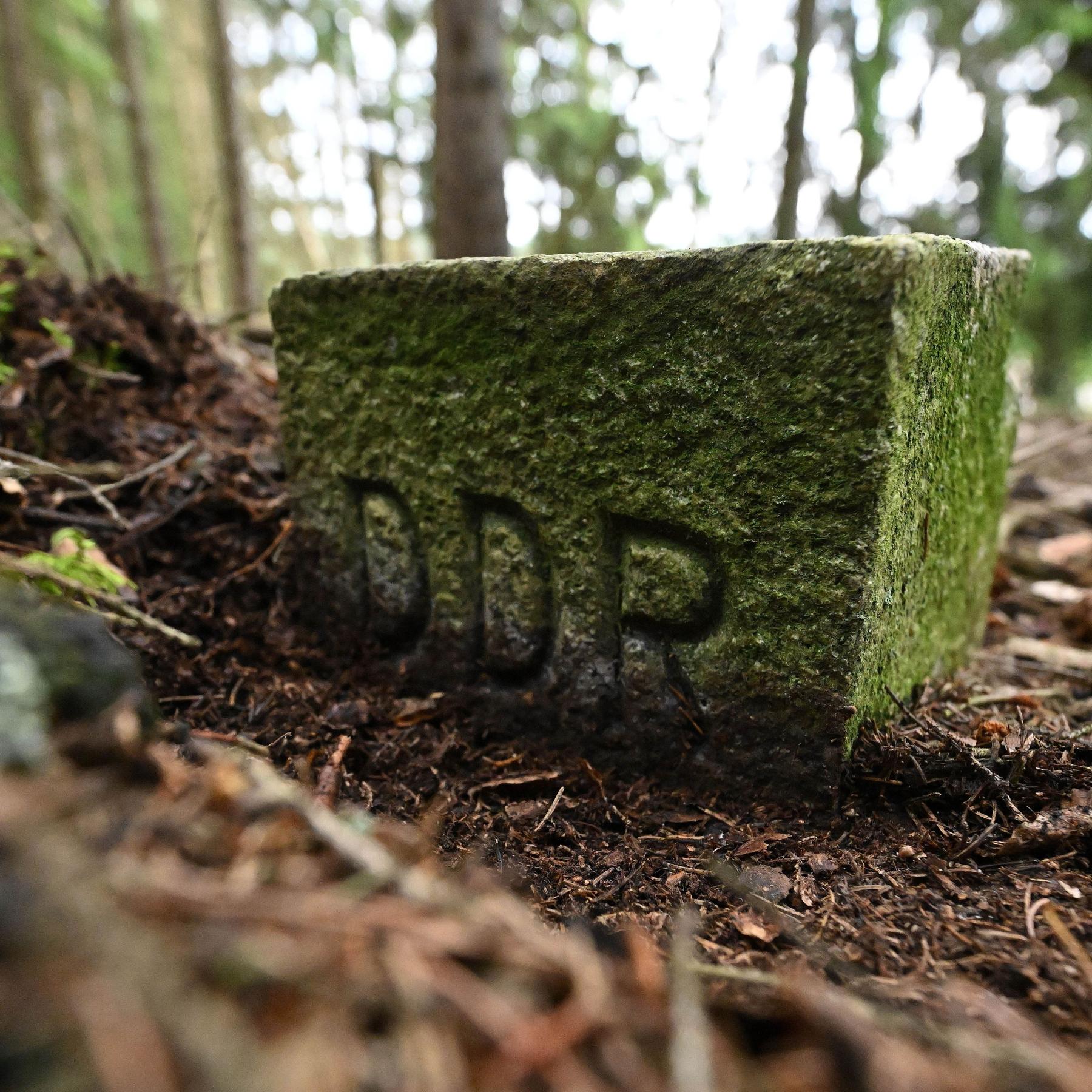 Naturschutzgroßprojekt Grünes Band Dreiländereck Bayern-Sachsen-Thüringen episode artwork