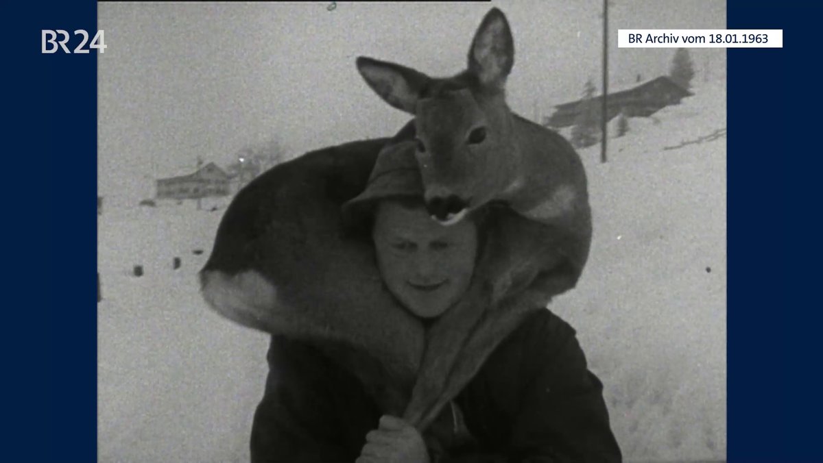Mann beim Tragen eines Rehs | Bild: BR-Archiv Mann beim Tragen eines Rehs