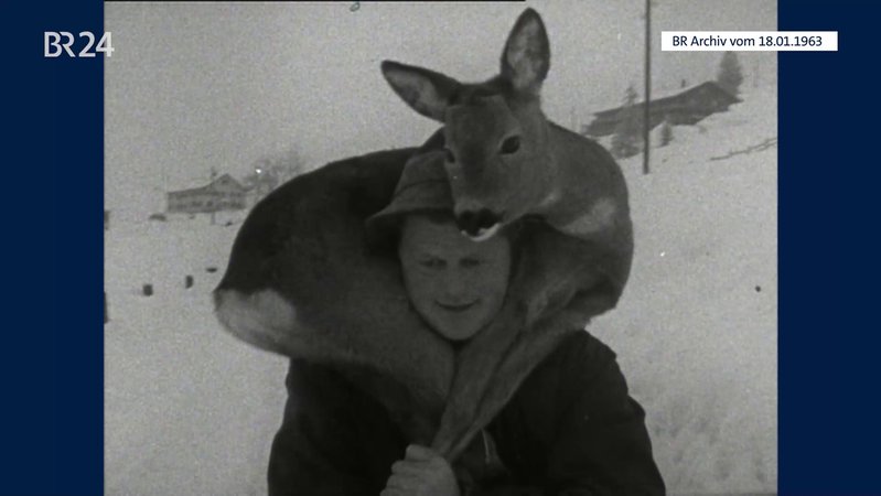 Mann beim Tragen eines Rehs | Bild: BR-Archiv Mann beim Tragen eines Rehs