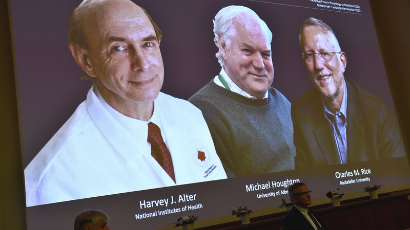 Die Medizinnobelpreisträger Harvey J. Alter, Michael Houghton und Charles M. Rice