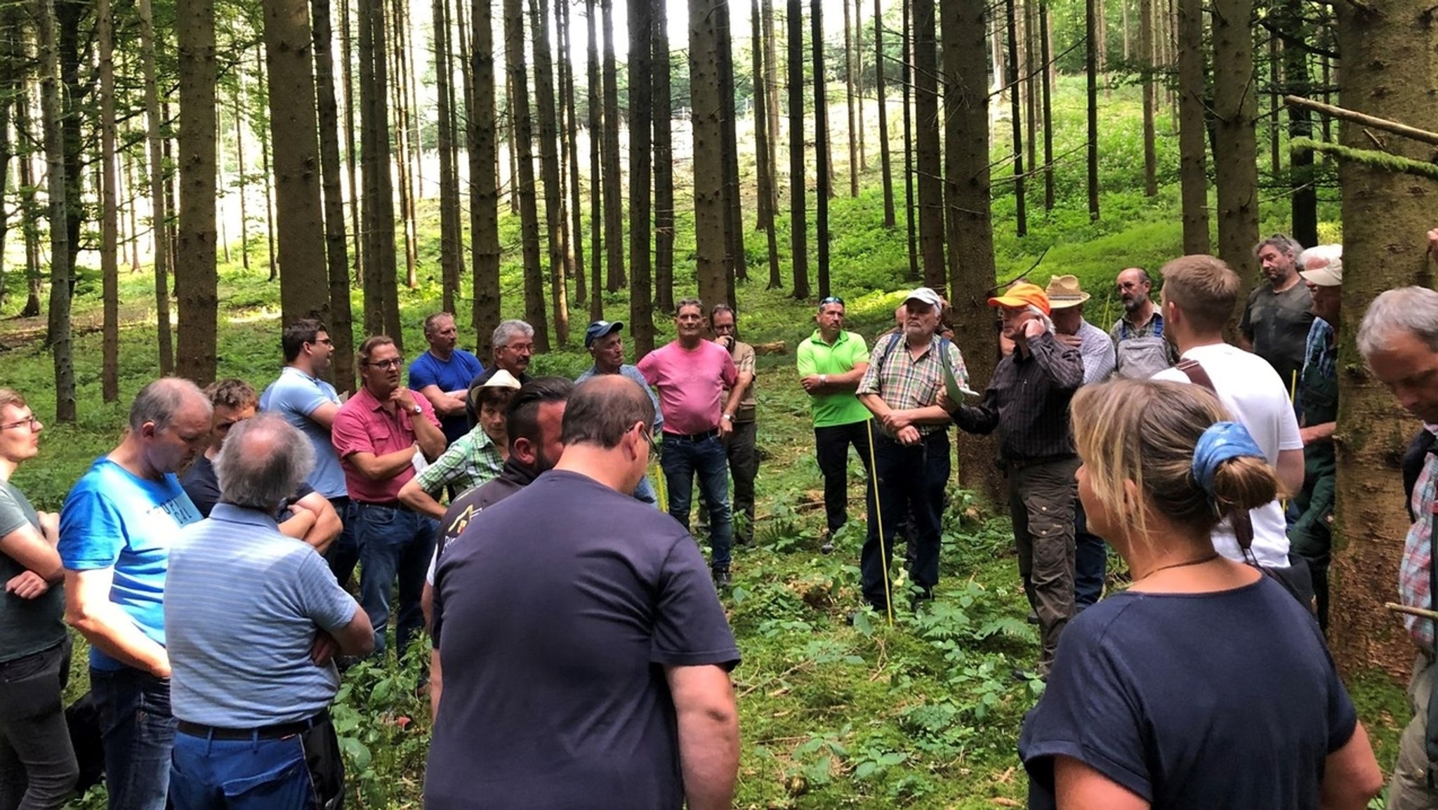 Rund 50 Interessierte sind zum Wald-Rundgang durch den Wittislinger Gemeindewald gekommen. 