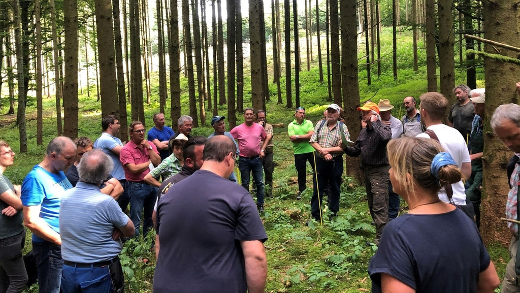 Rund 50 Interessierte sind zum Wald-Rundgang durch den Wittislinger Gemeindewald gekommen. 