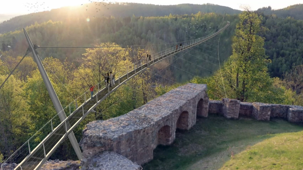 Auf einem Modellfoto zieht sich eine Hängebrücke über ein bewaldetes Tal.  