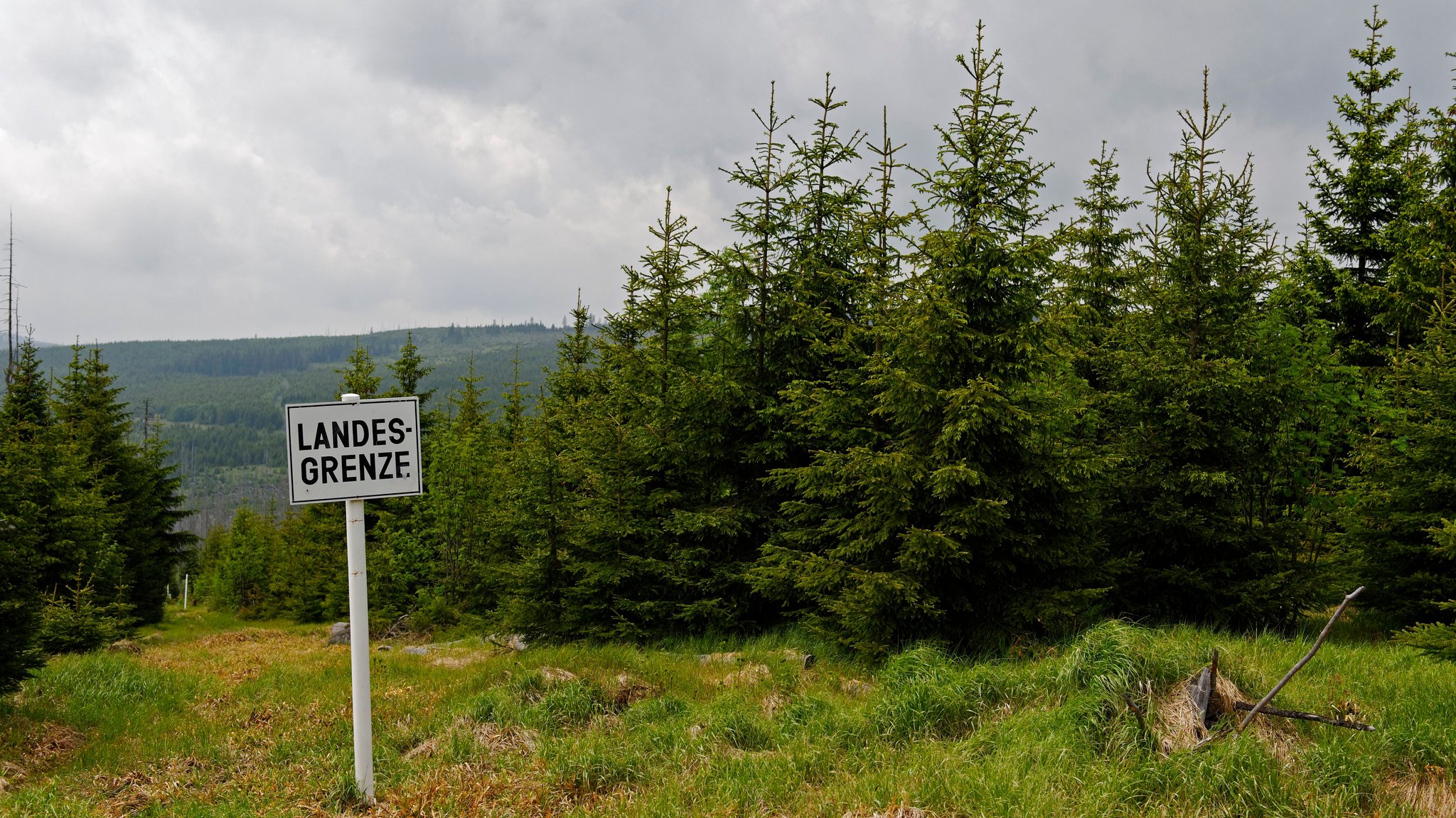 Bayerisch-tschechisches Grenzgebiet. Ein Schild weißt auf die Landesgrenze hin. (Symbolbild)