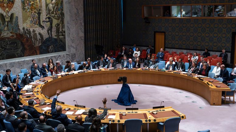 Abstimmung im UN-Sicherheitsrat | Bild:Eduardo Munoz Alvarez/AP/dpa