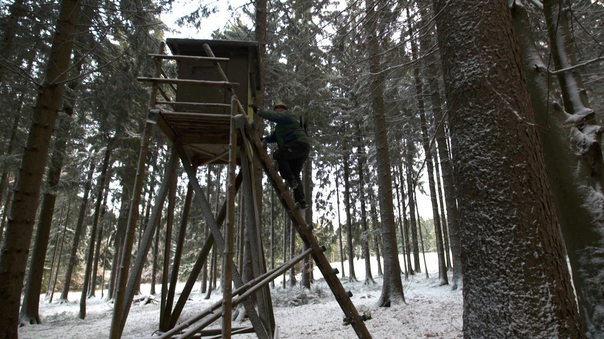 Hochsitz im Schnee-Wald