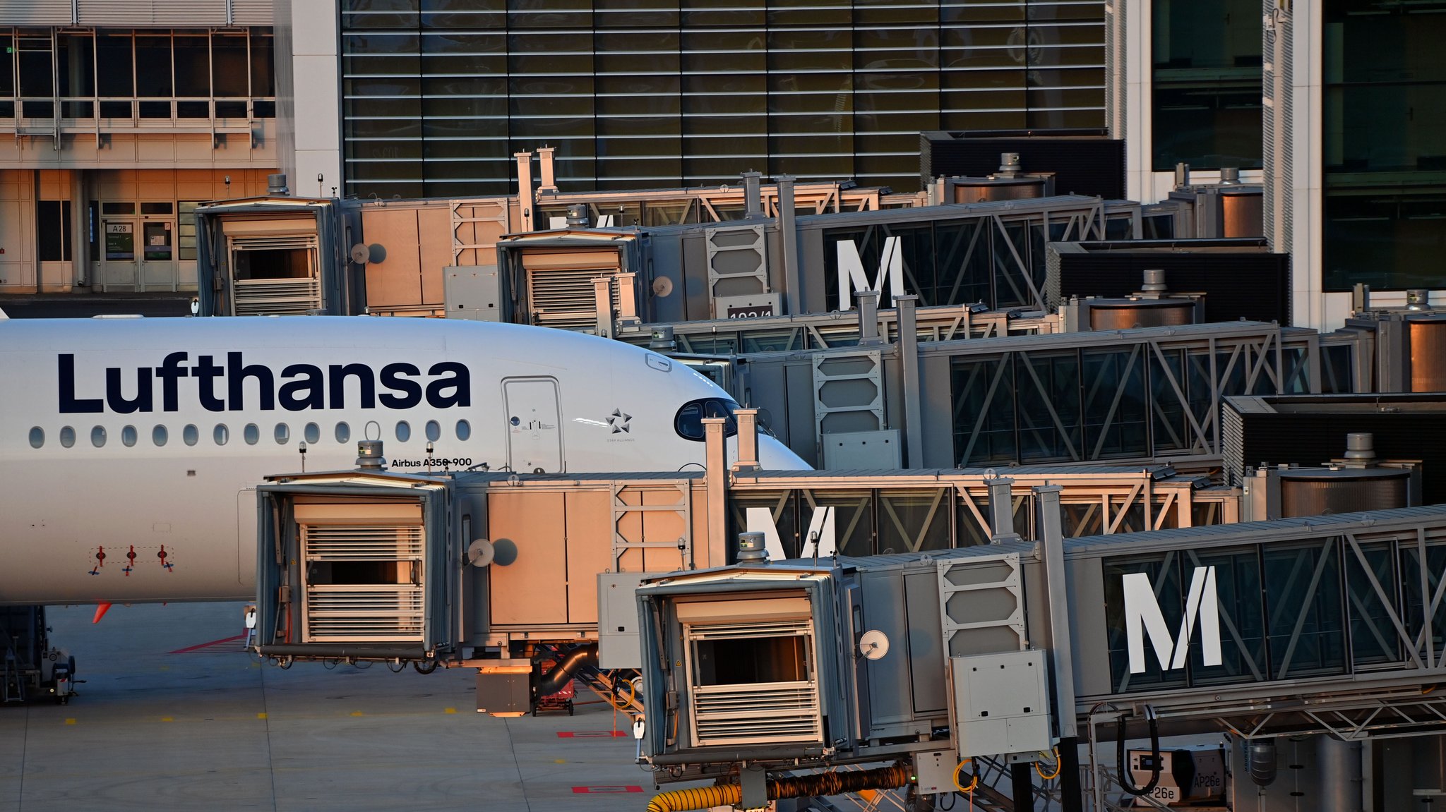 Lufthansa streicht in diesem Sommer rund 20.000 Flüge