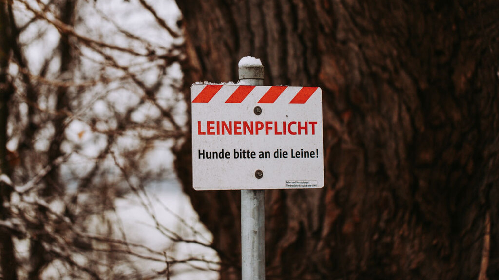 Schild mit der Aufschrift: "Leinenpflicht"