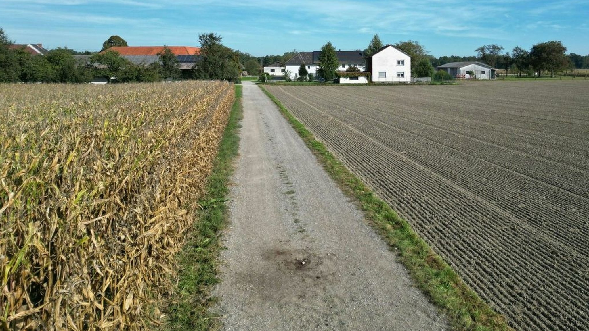 Feldweg in Naarn in Oberösterreich: Dort ist eine Frau beim Joggen von einem Hund zu Tode gebissen worden.