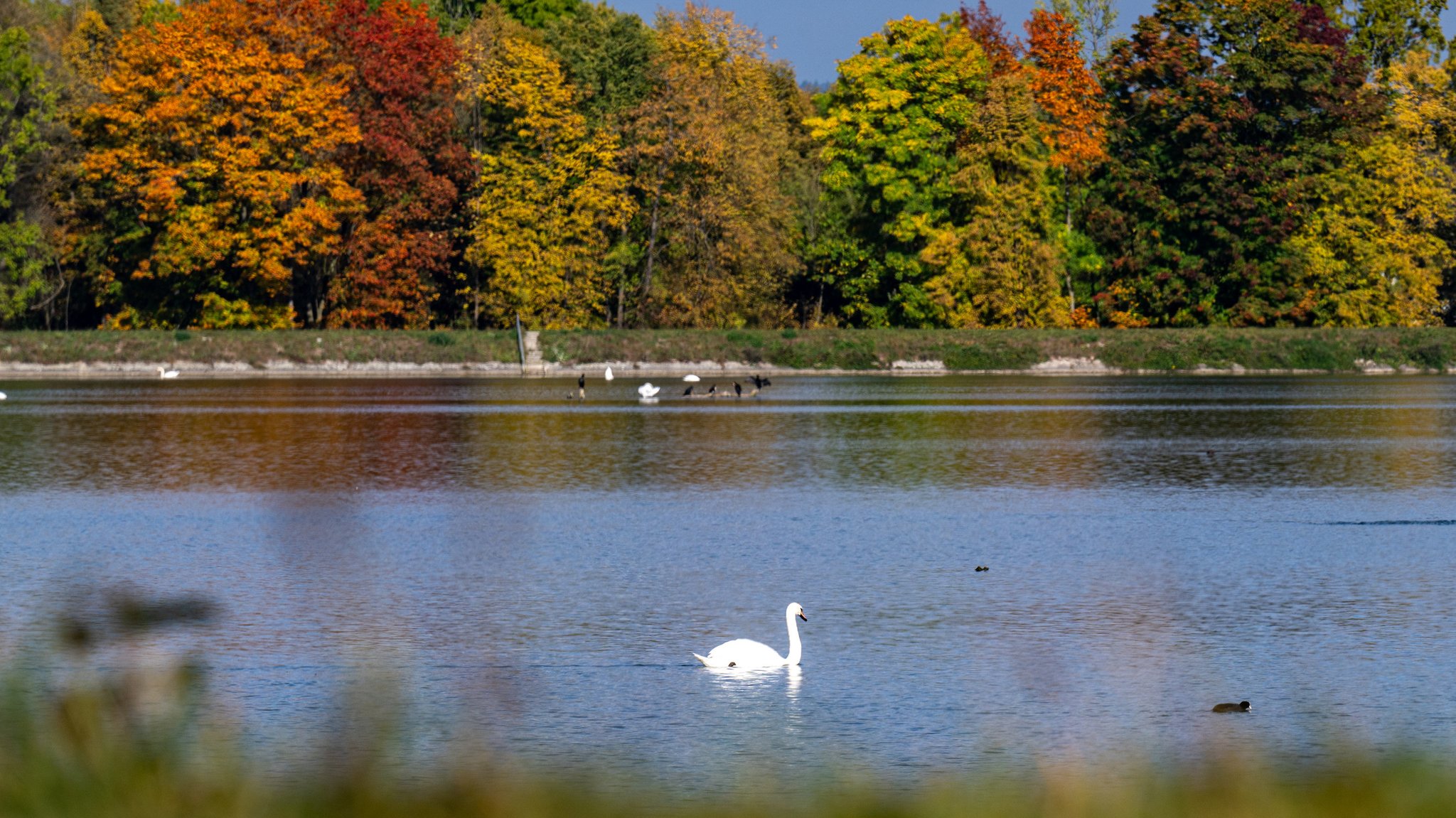 Wetter am Feiertag: Endspurt des goldenen Herbstes in Bayern