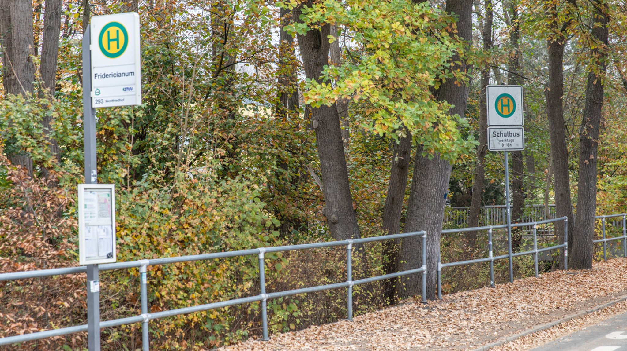 Nächster Halt: Ungewiss - wenn der Schulbus nicht kommt